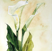 Helen Anne Hillson - Lilies 07